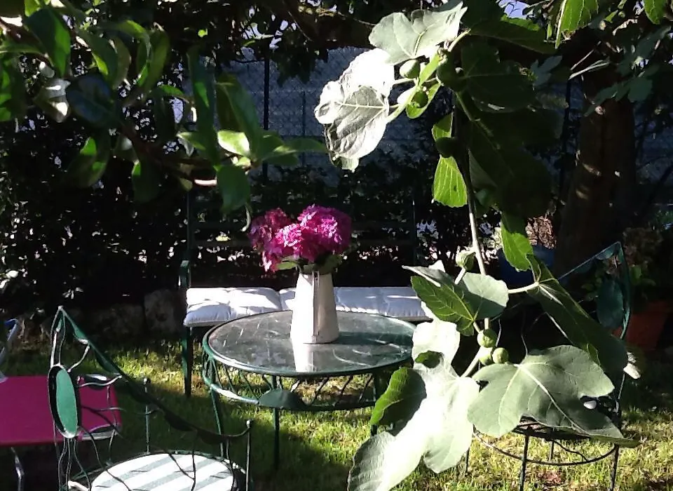 B&B Villa Napoleone-1